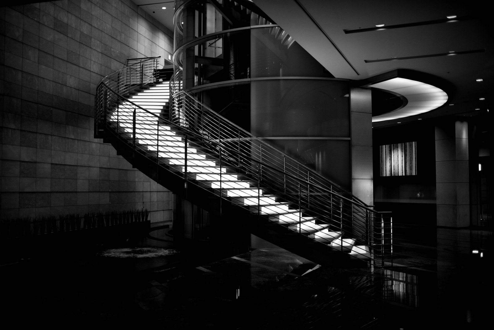Illuminated Ascent