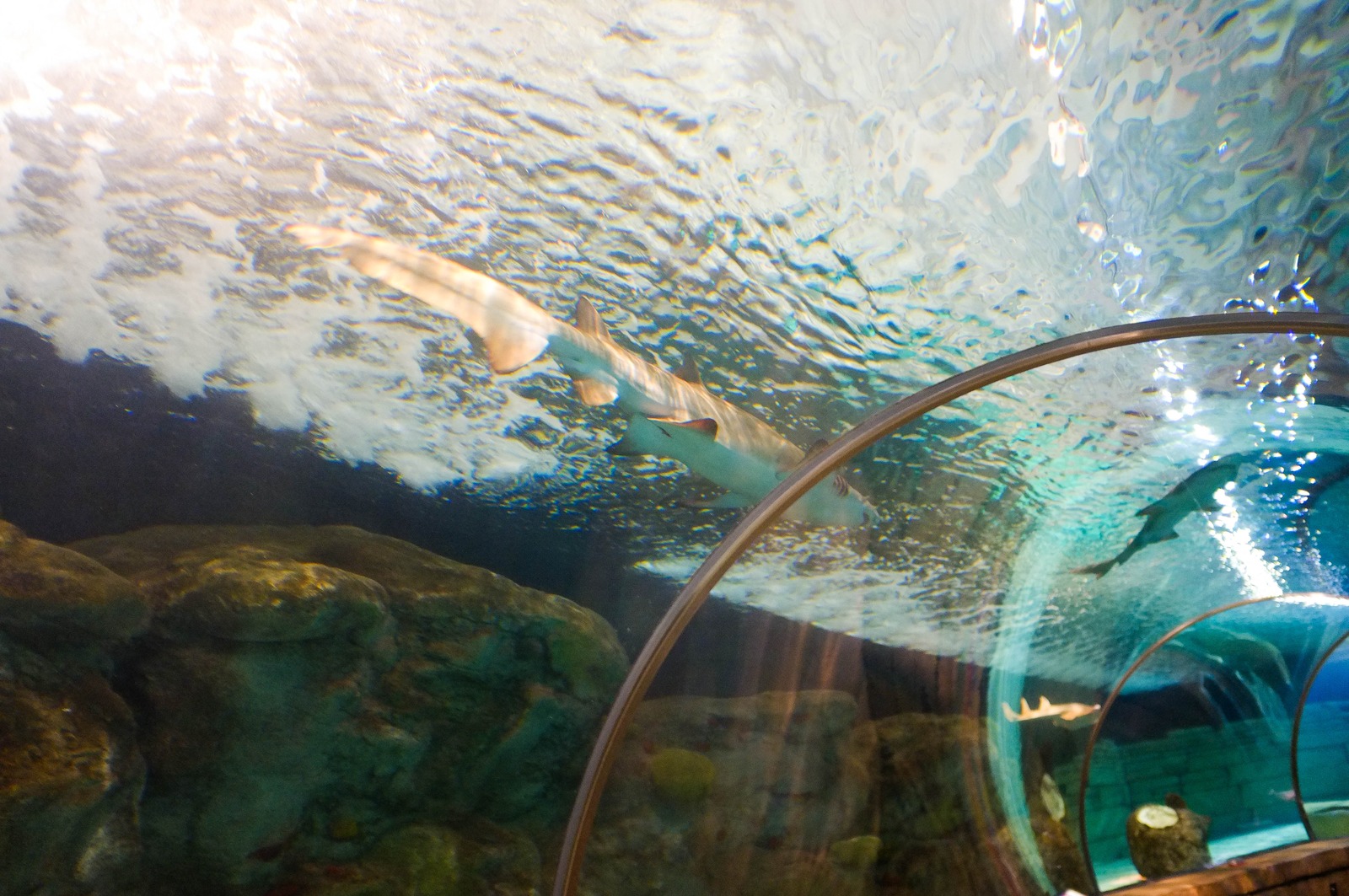 Beneath the Waves