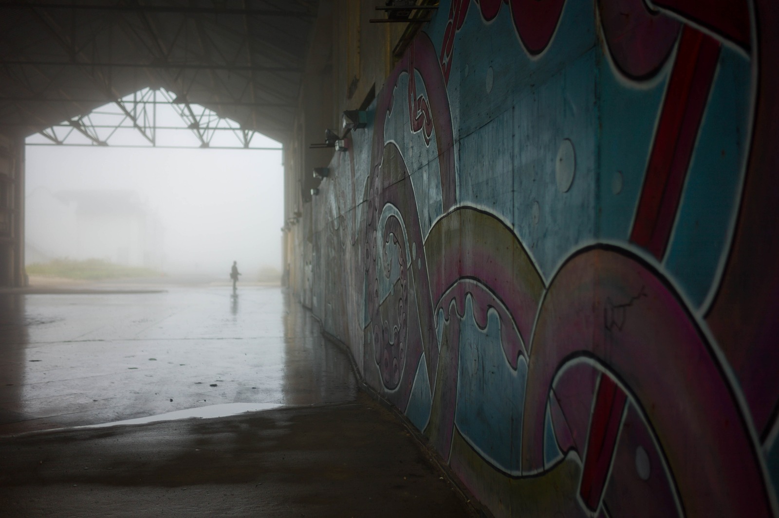 Misty Urban Exploration