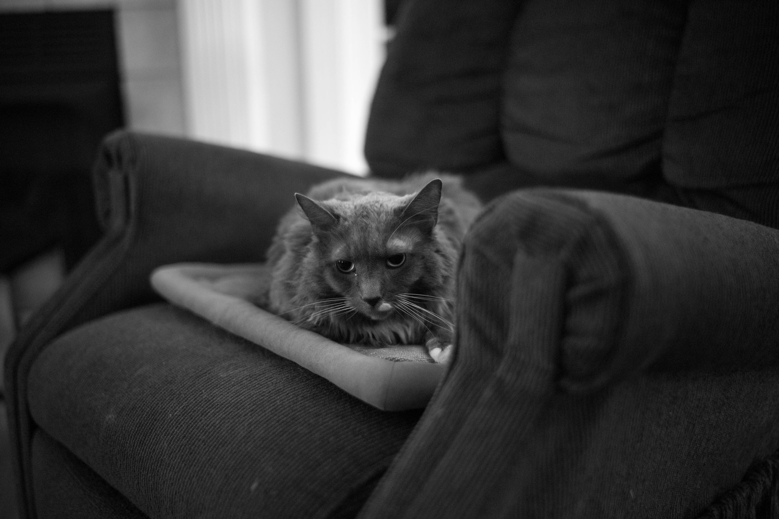 Quiet Contemplation
