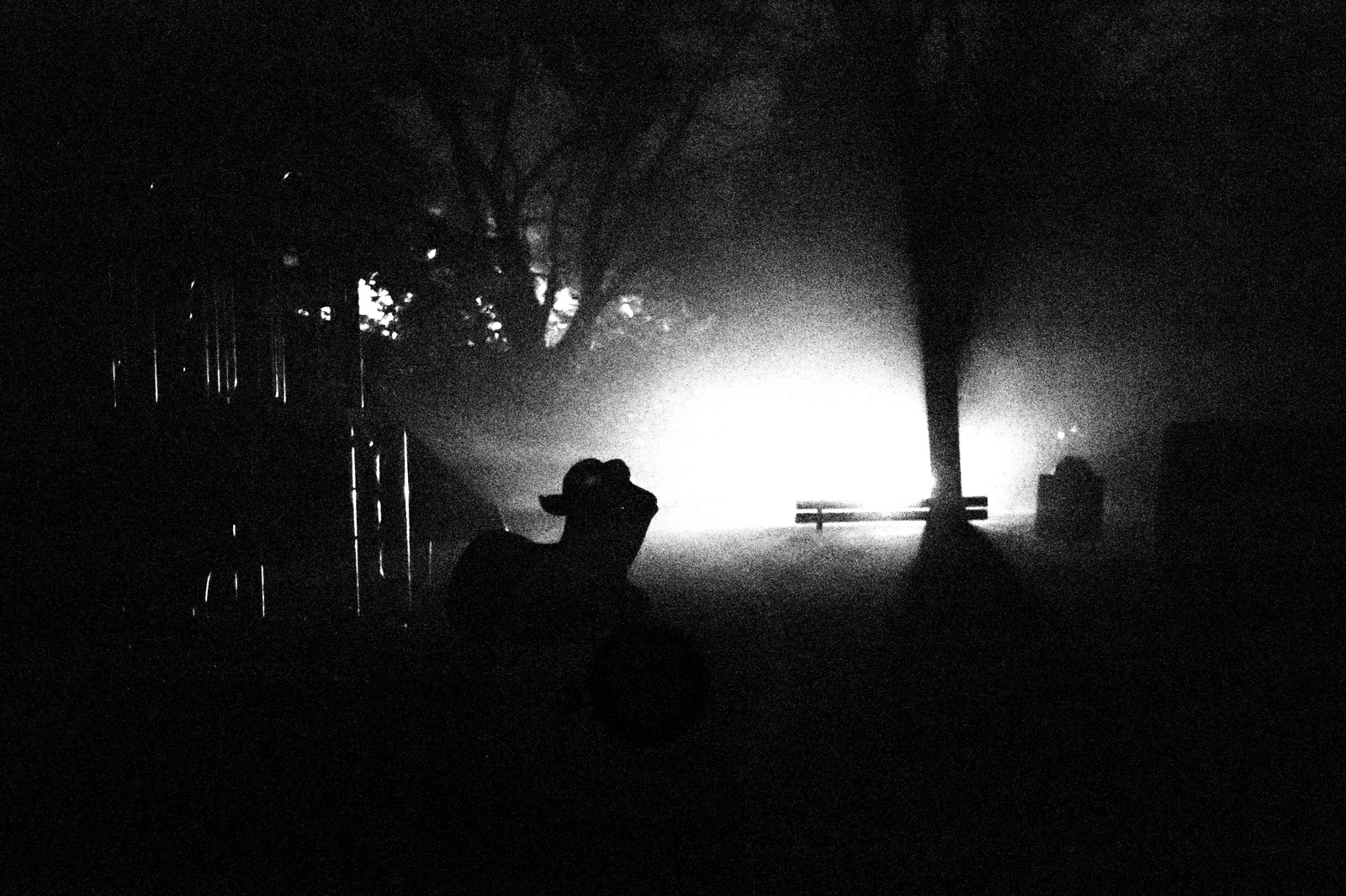 Eerie Nightscape
