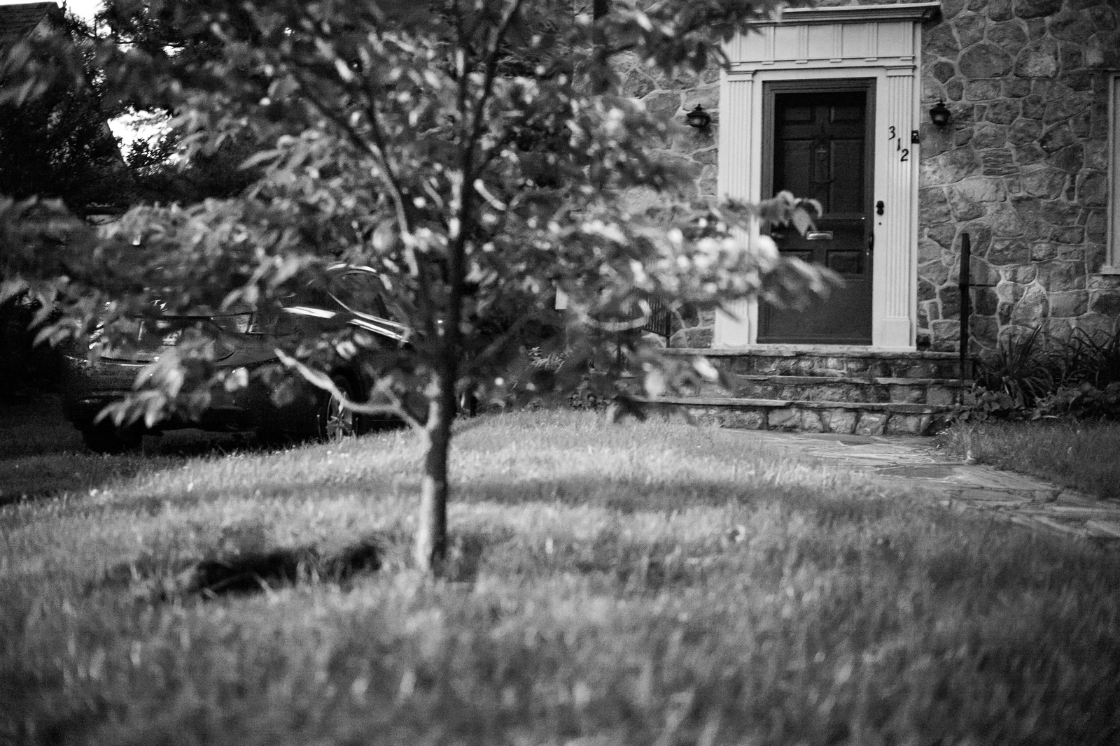 Whispers of Home
