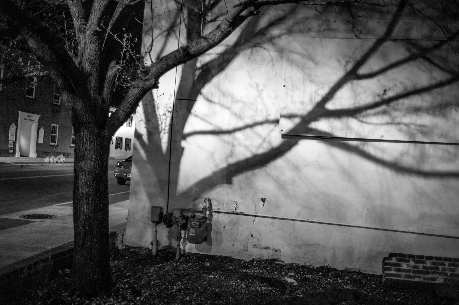 Whispers of Night