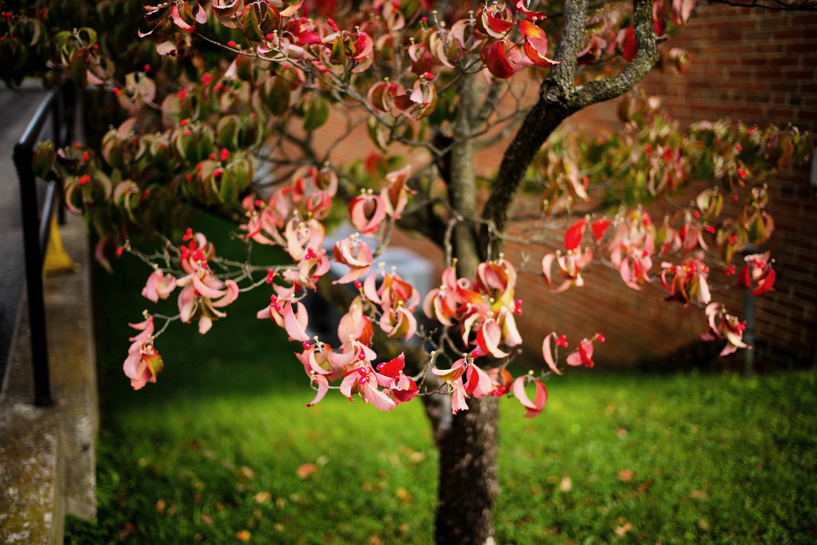 Whispers of Autumn