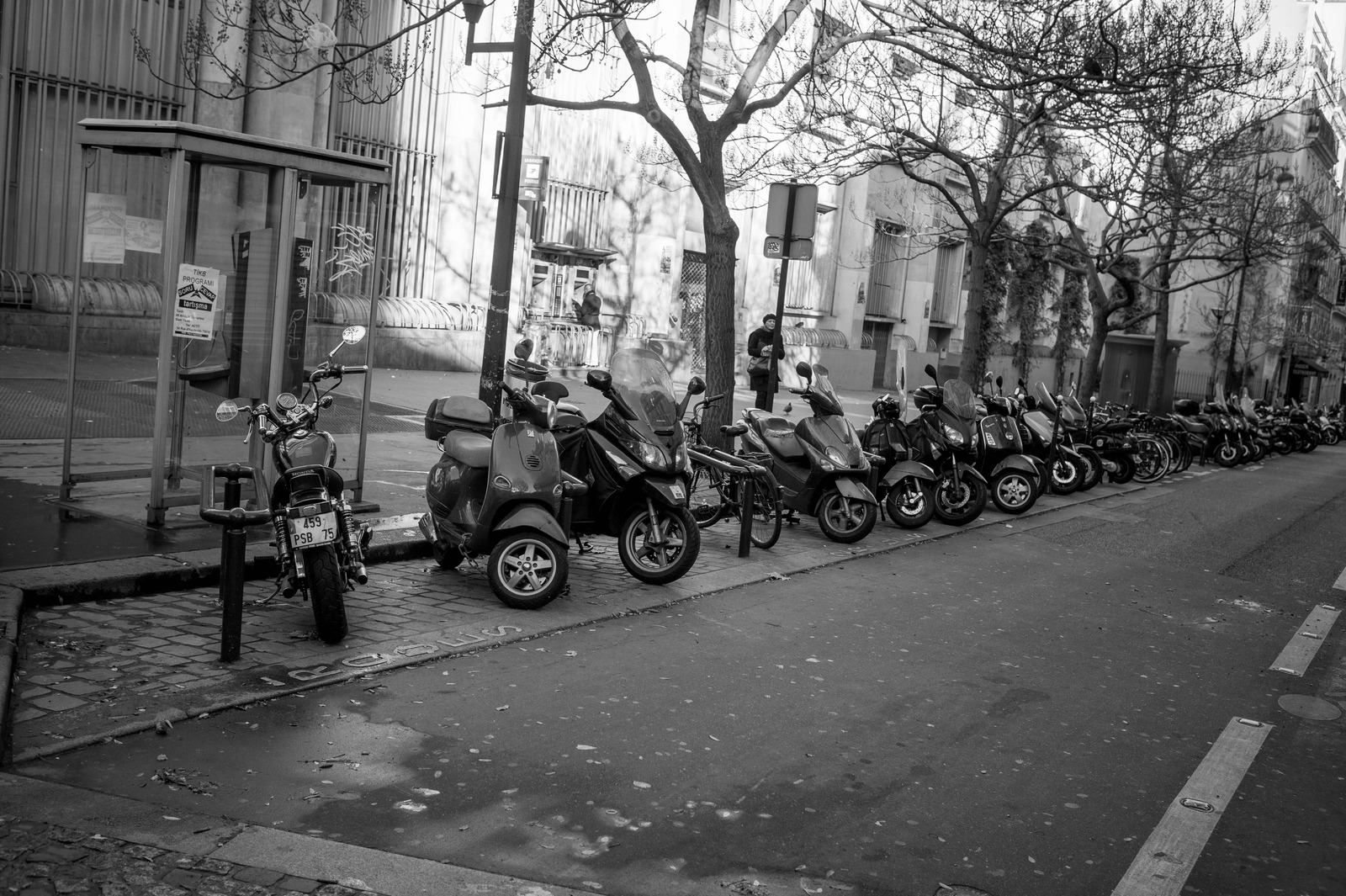 Urban Ride Lines