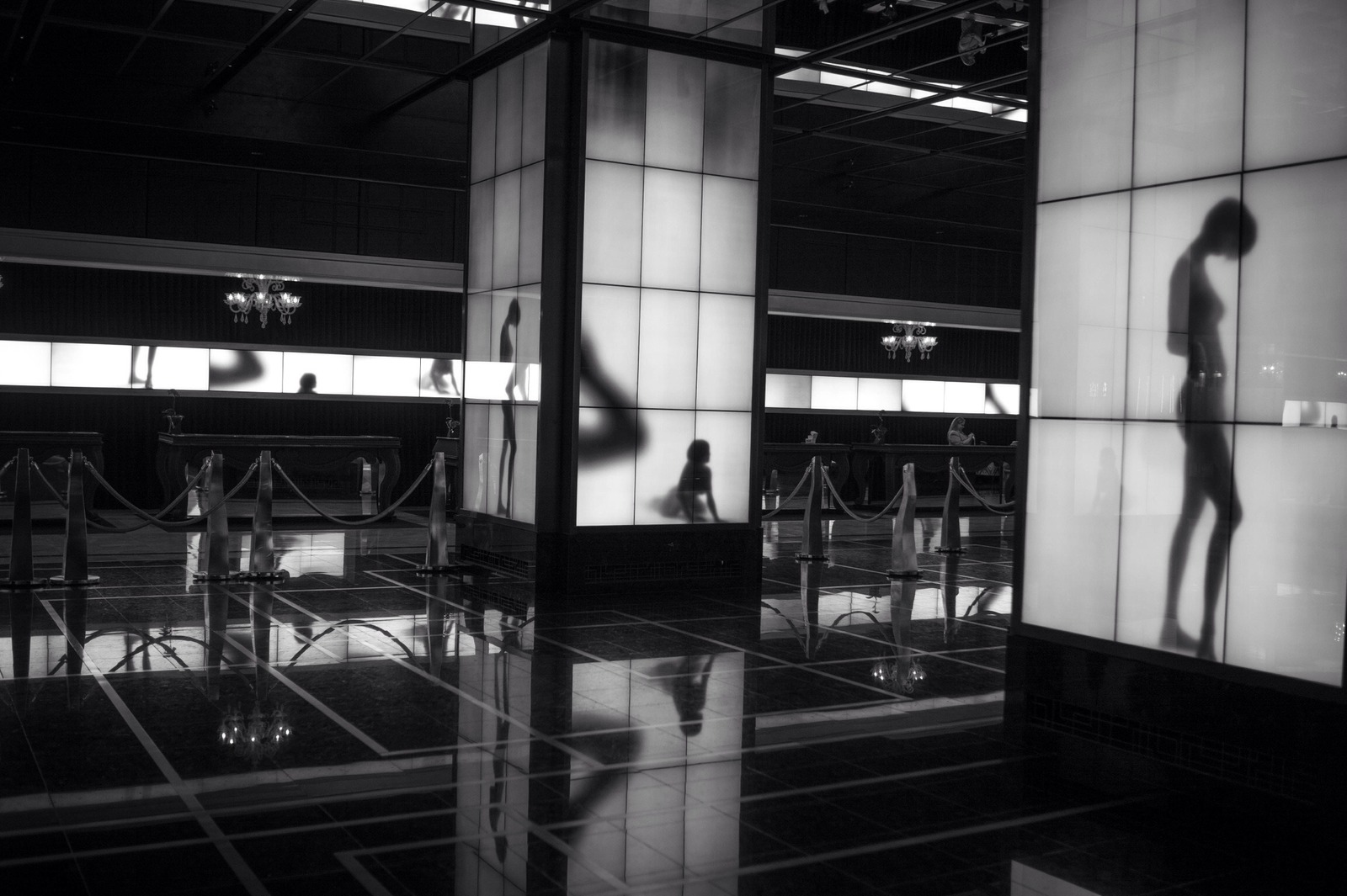Shadows of Elegance