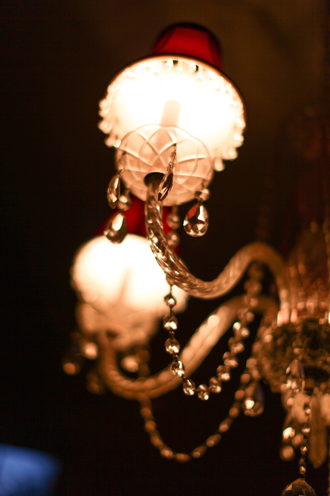 Glimmering Elegance