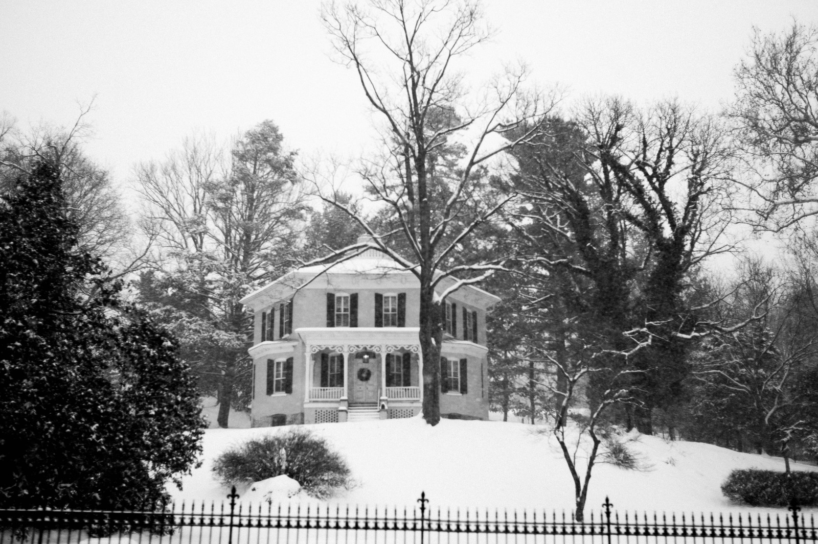 Snowbound Elegance
