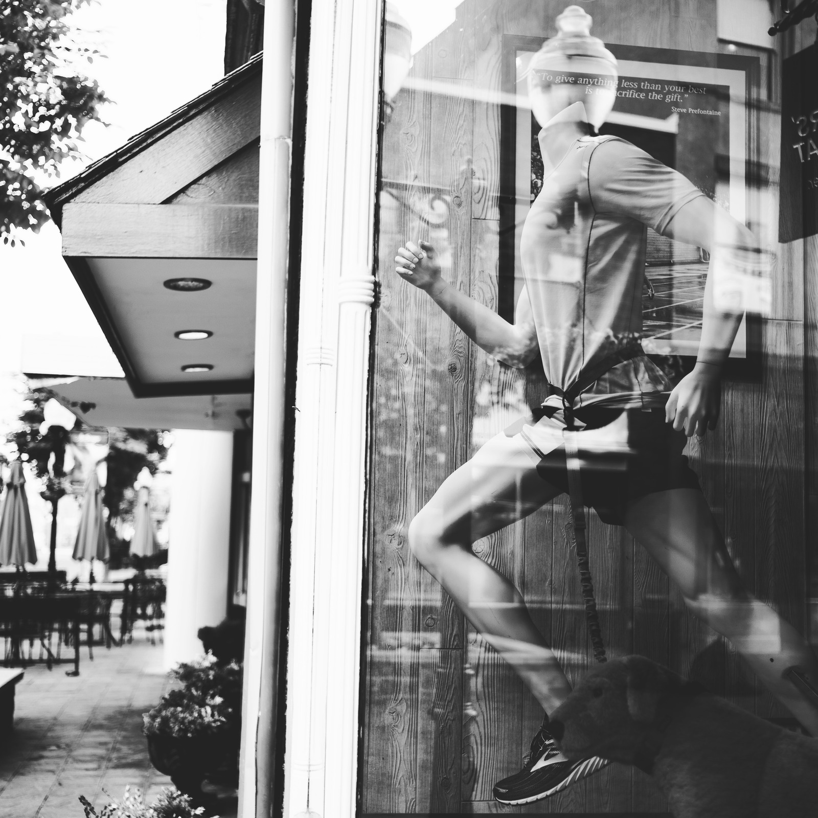 Dynamic Reflection