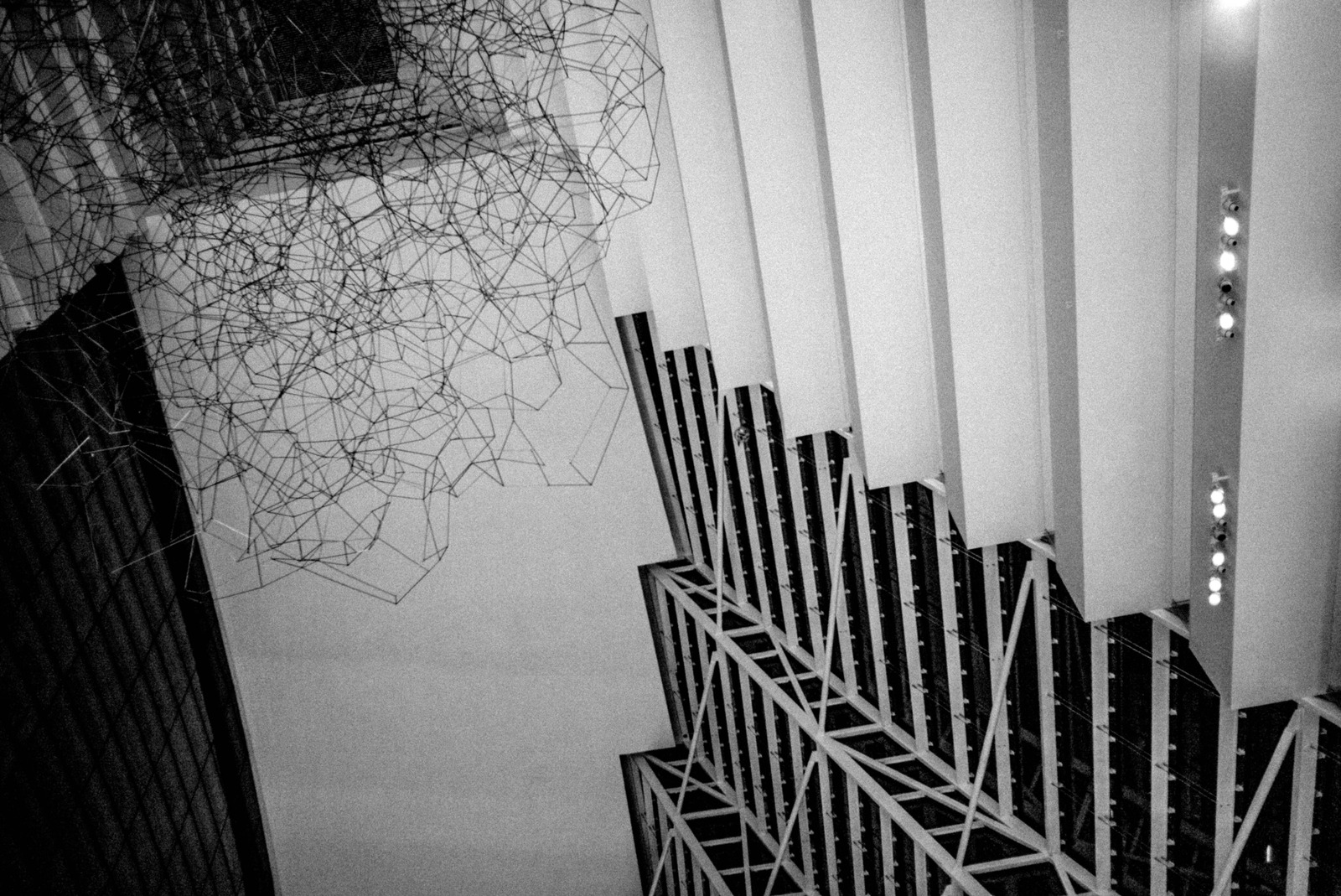 Geometric Reverie