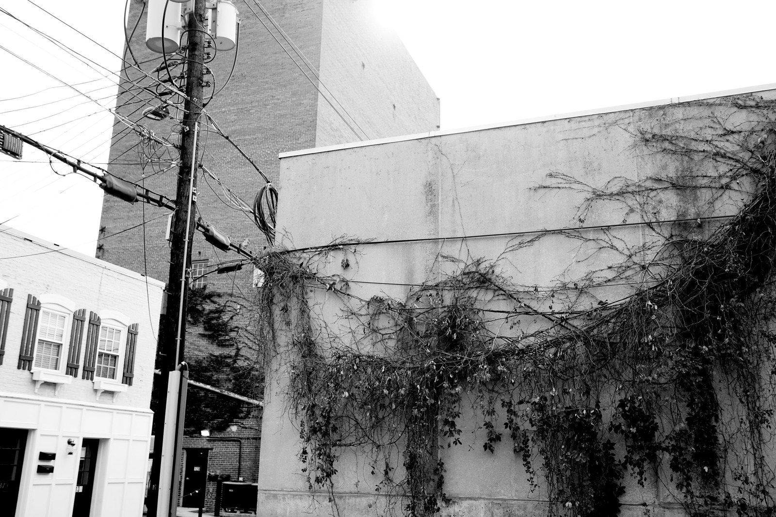 Urban Decay