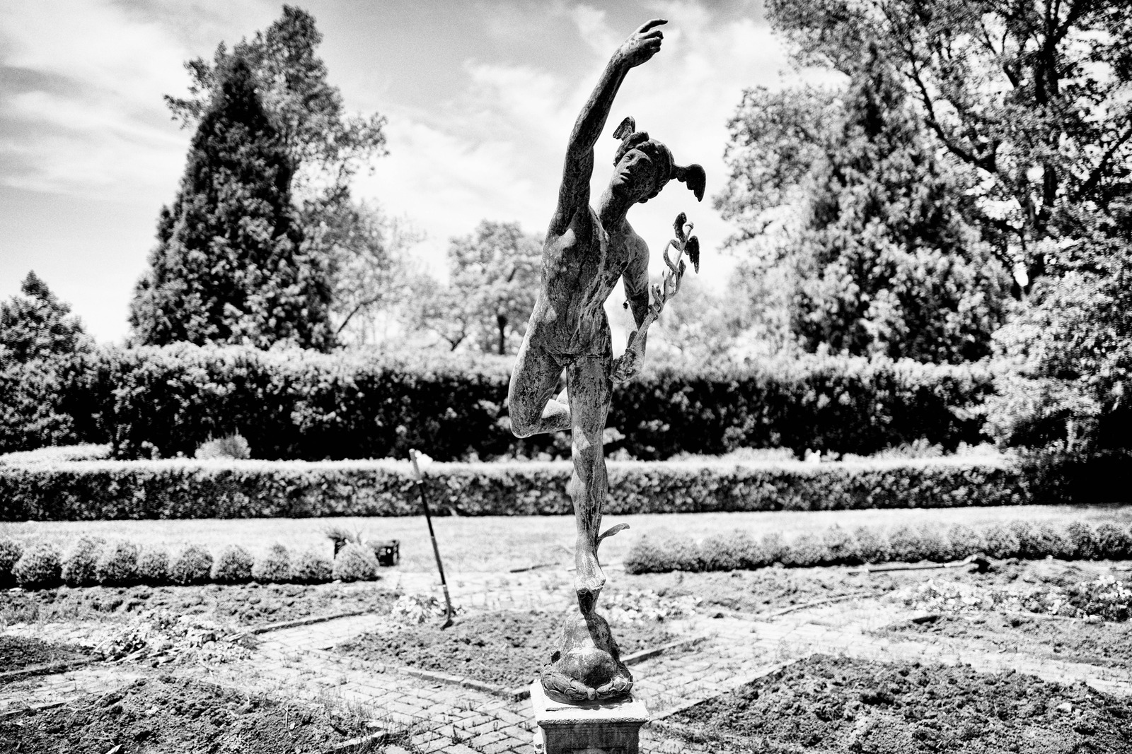 Grace in Motion