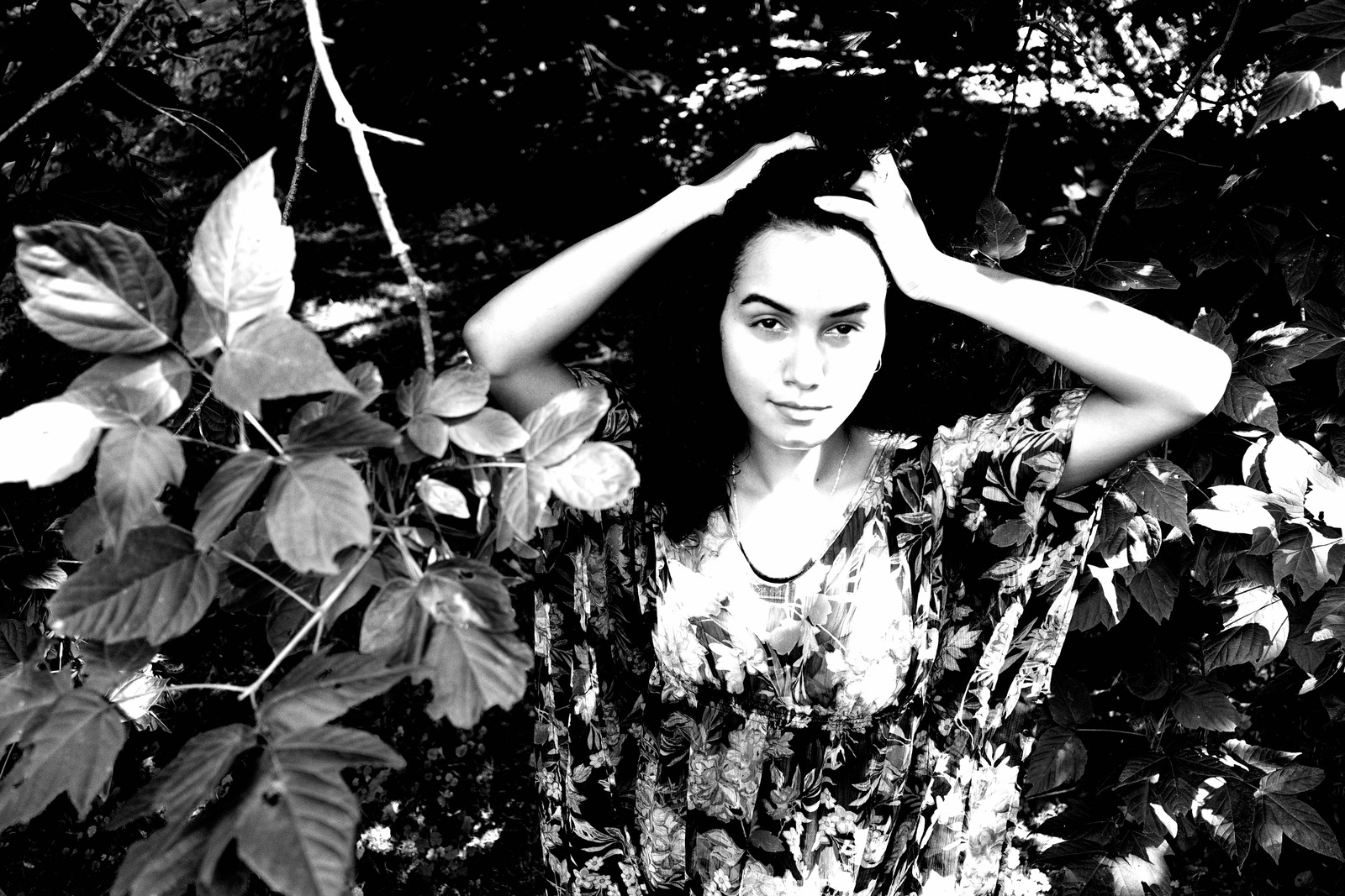 Whispers of Nature