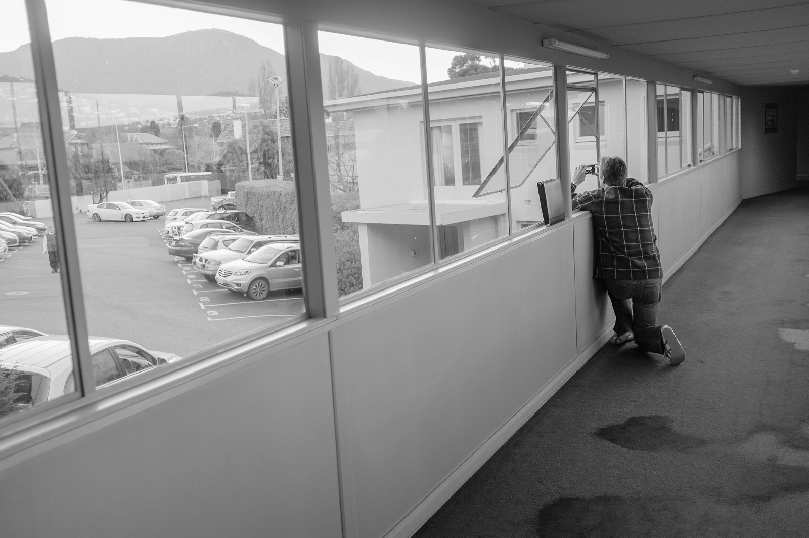 Through the Window
