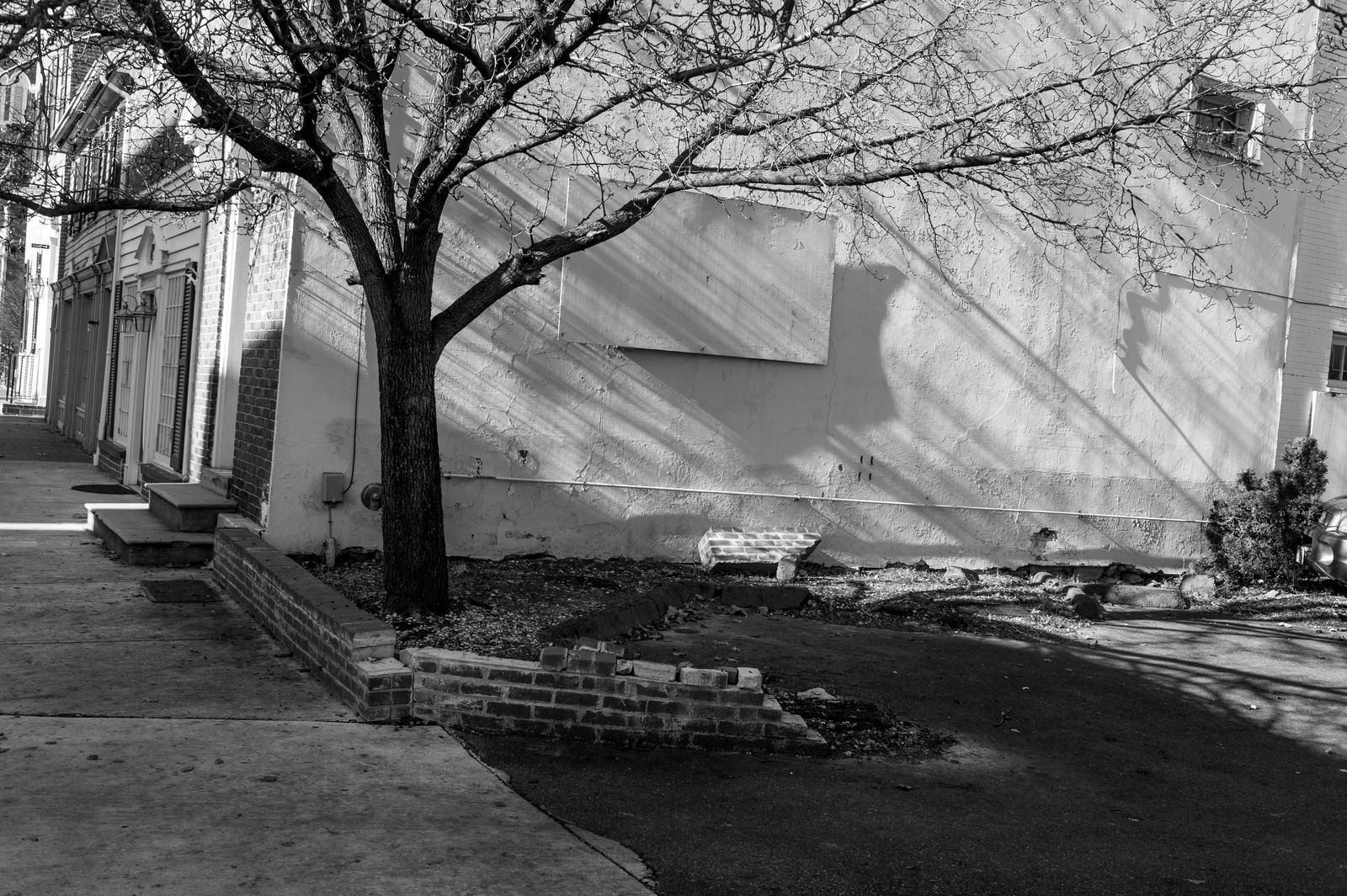 Shadows of Solitude