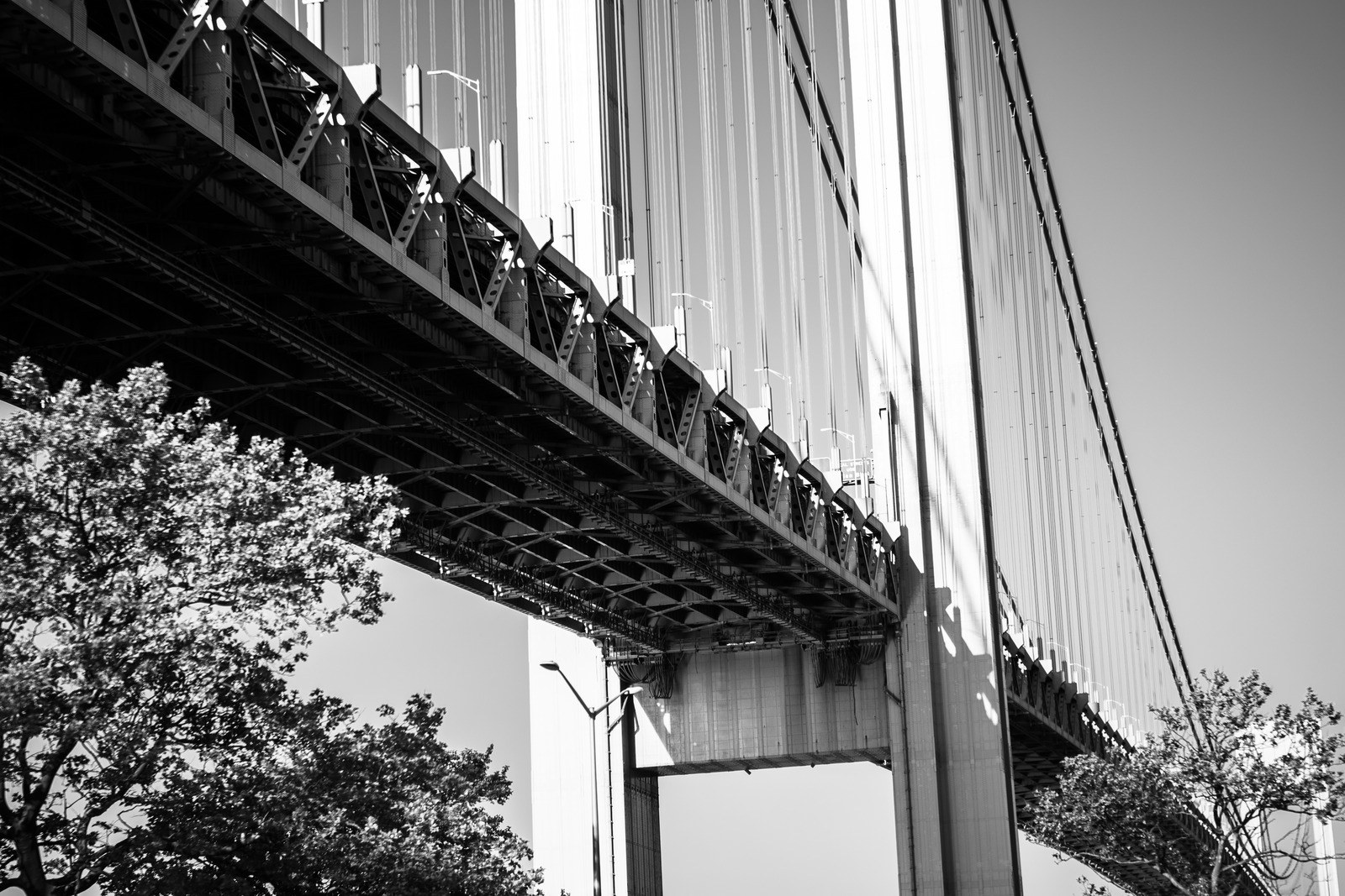 Beneath the Bridge