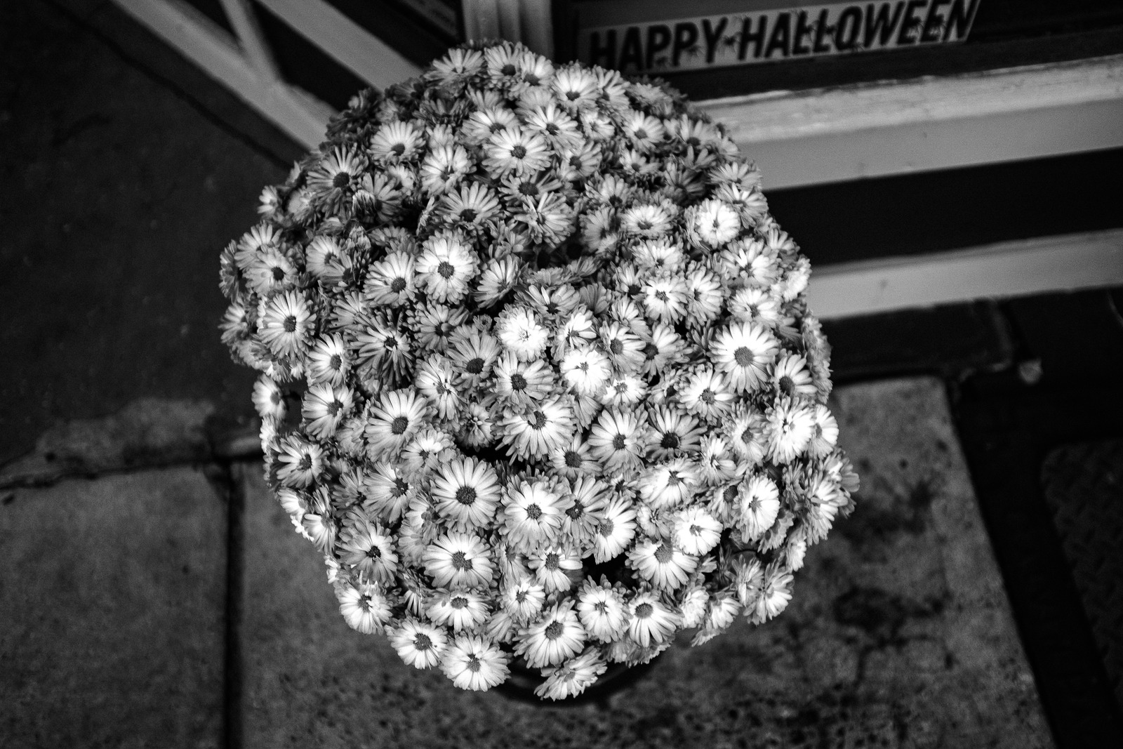 Monochrome Blooms