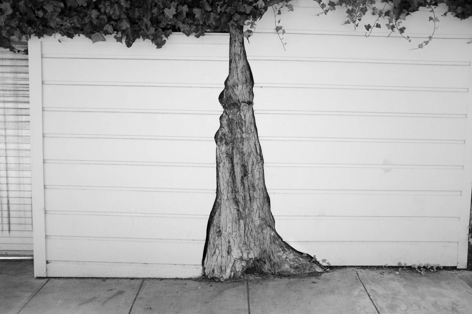 Nature's Resilience