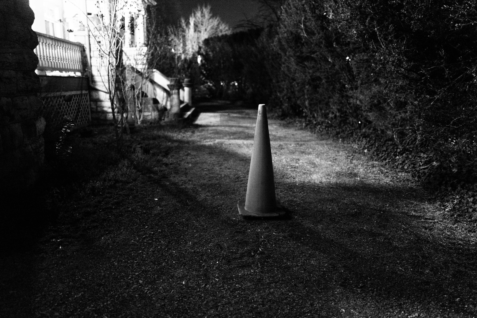Lonely Pathway