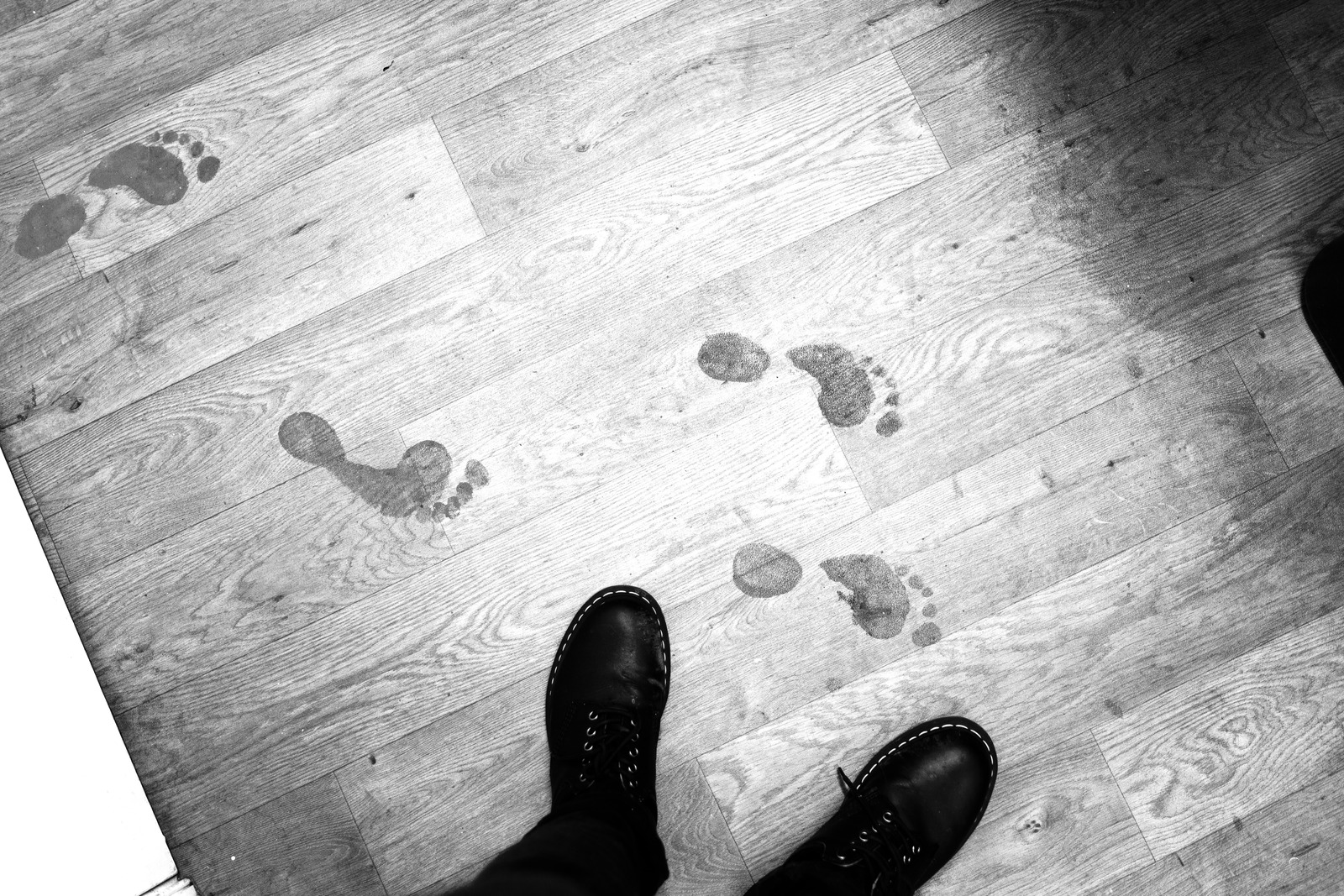 Echoes on the Floor