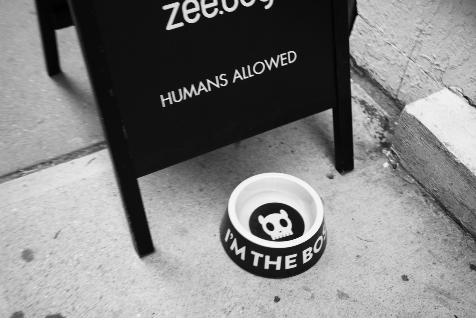 Playful Signage