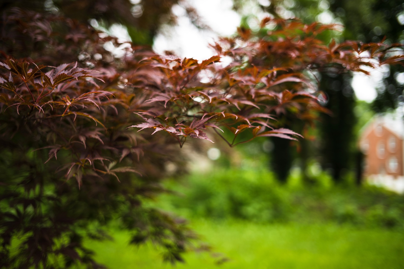 Whispers of Autumn