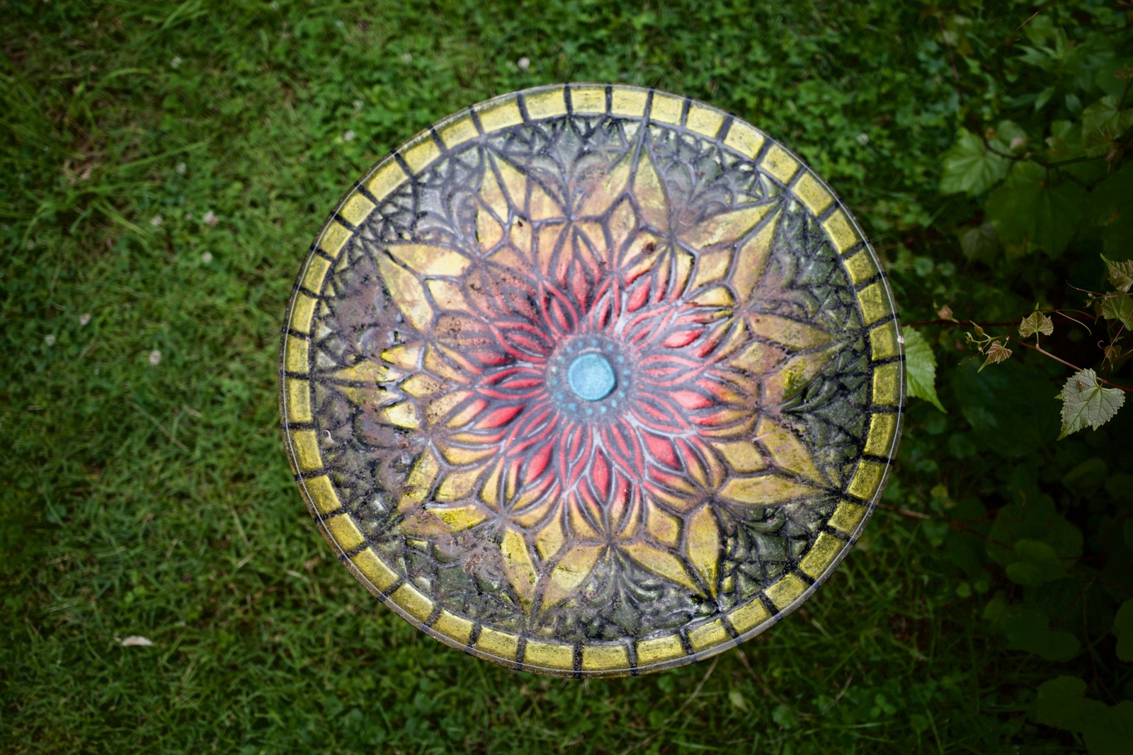 Harmony in Nature