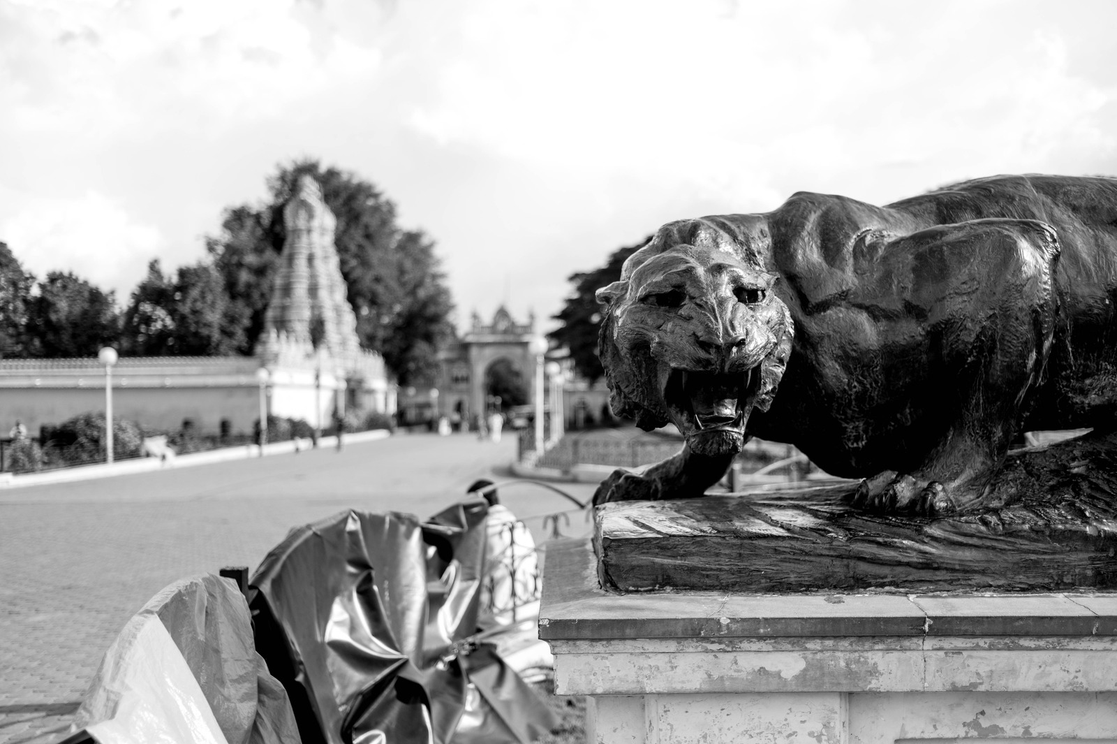 Majestic Guardian in Monochrome