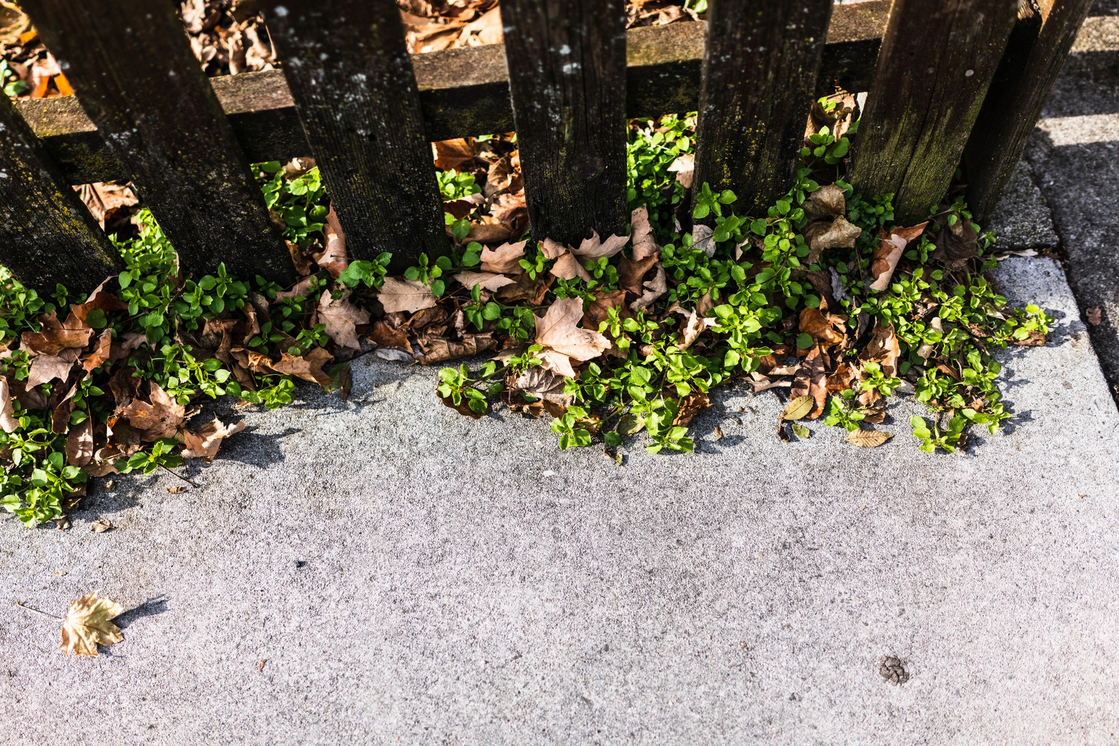 Nature's Persistence