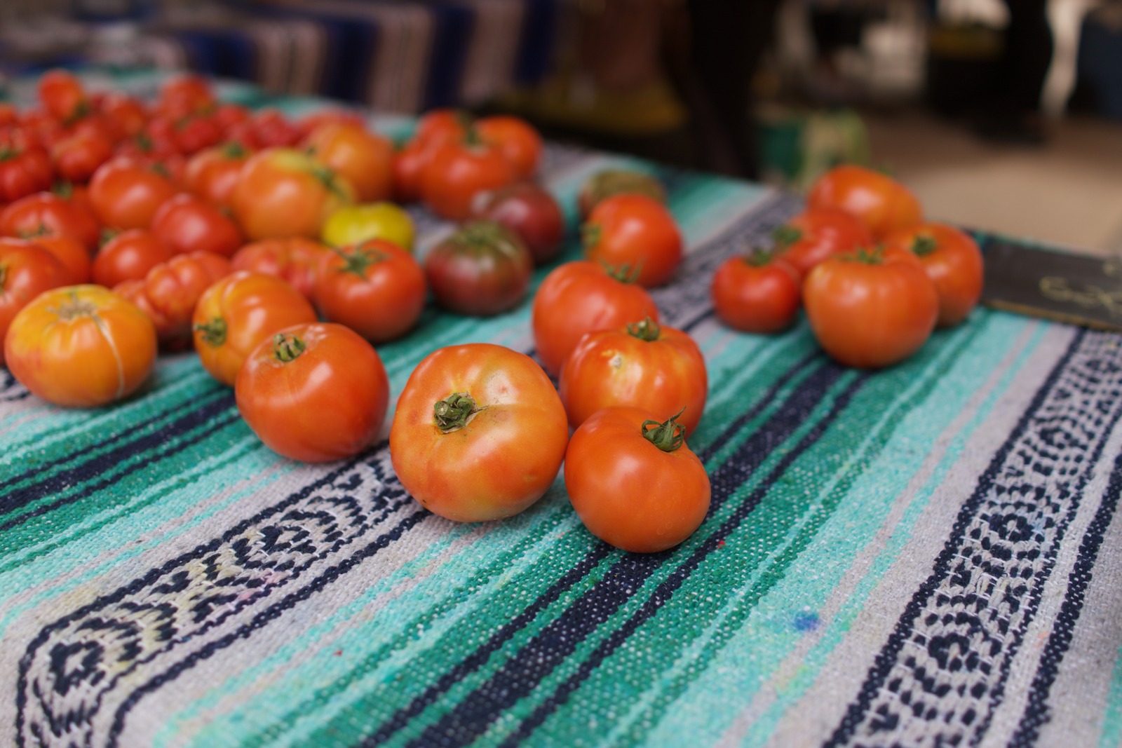 Harvest Abundance