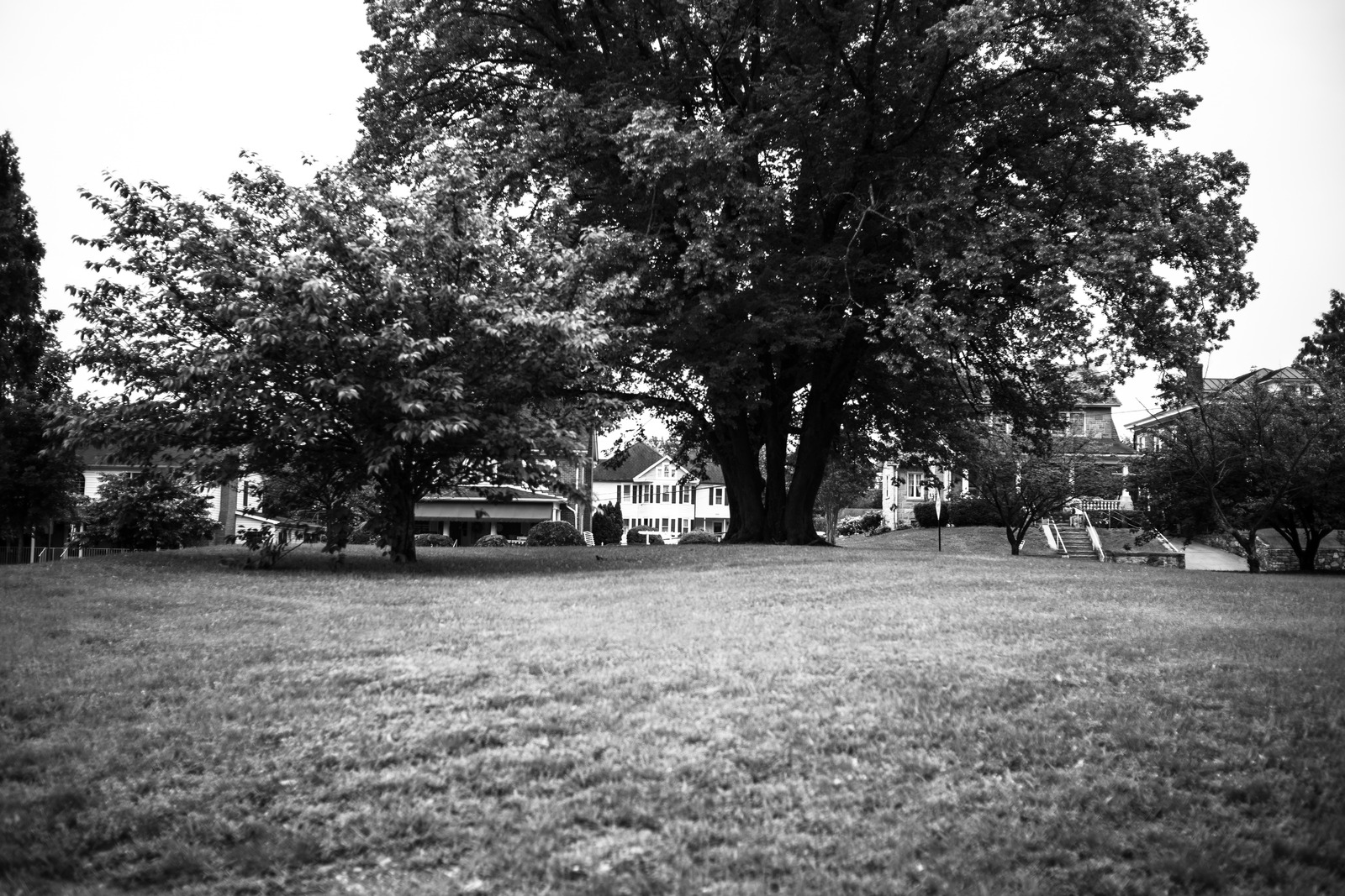 Quiet Park Retreat