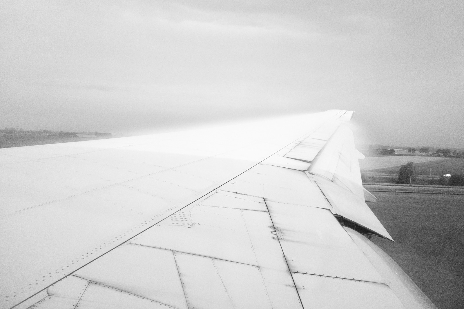Wing of Solitude