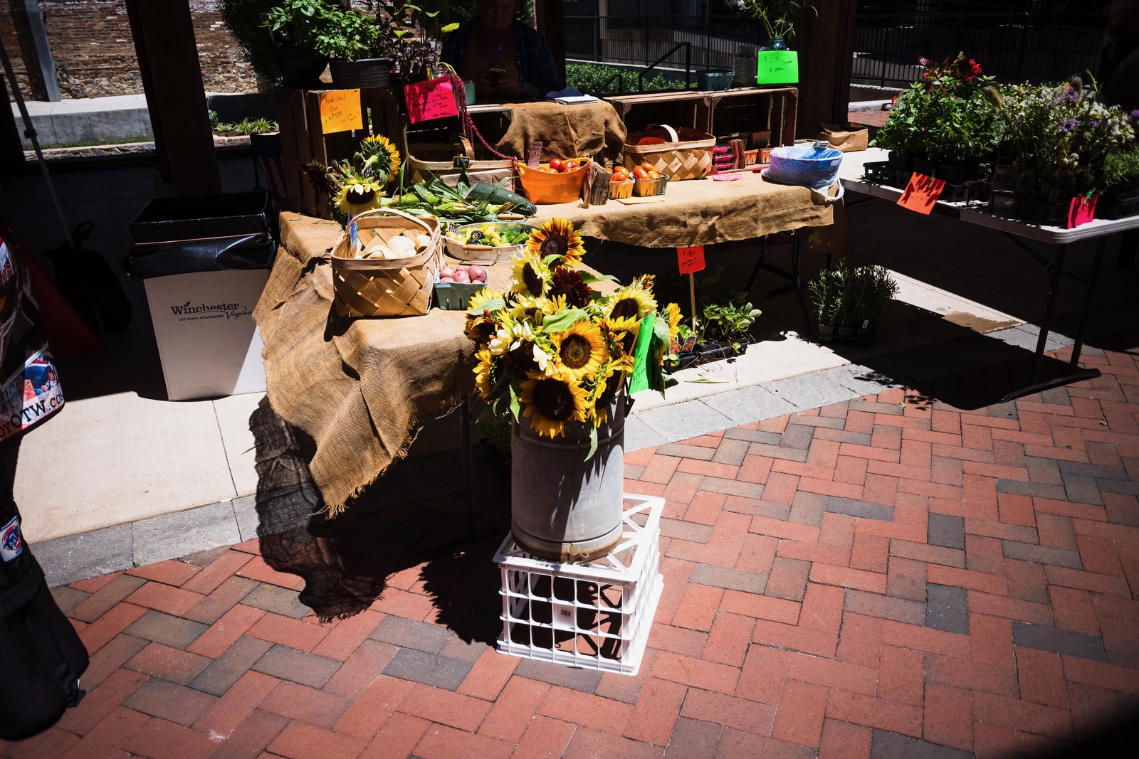 Bright Market Day