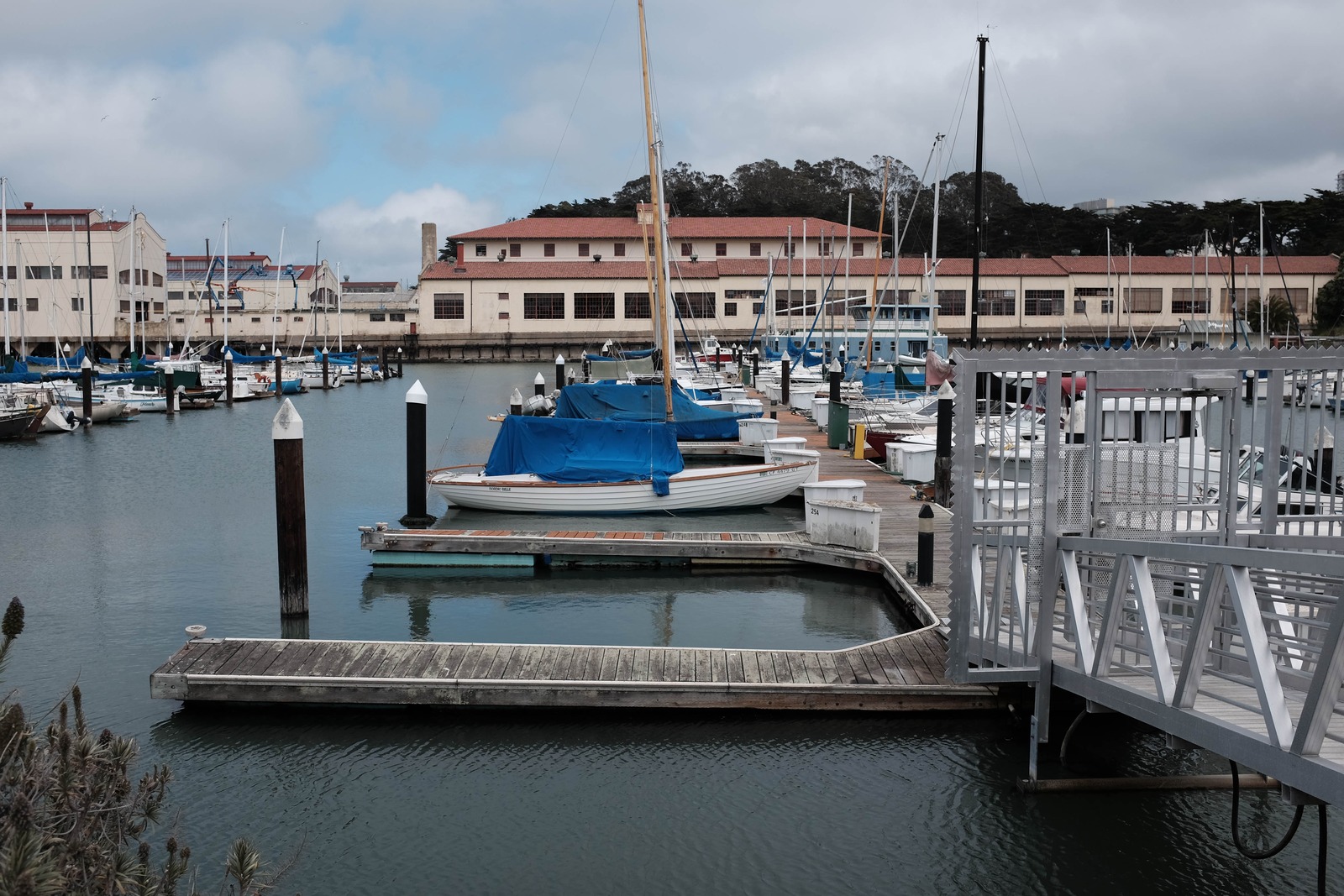 Harbor Serenity