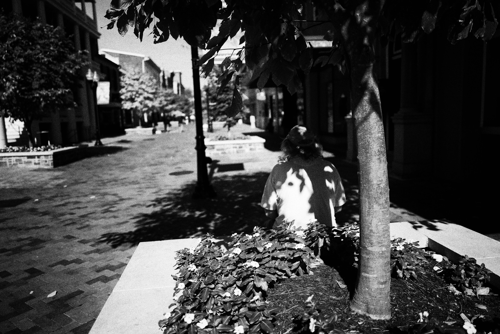 Shadows of Solitude
