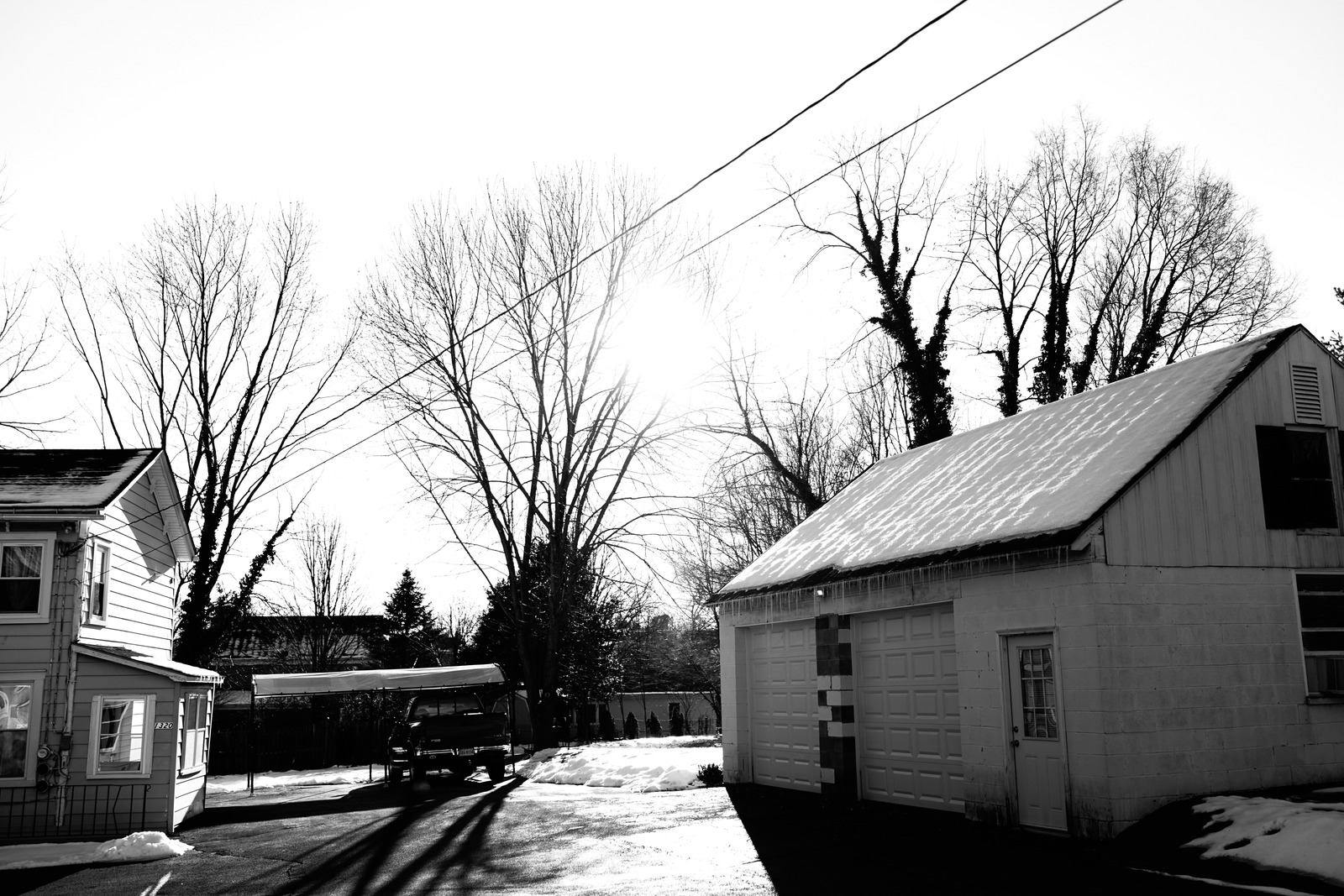 Winter's Embrace
