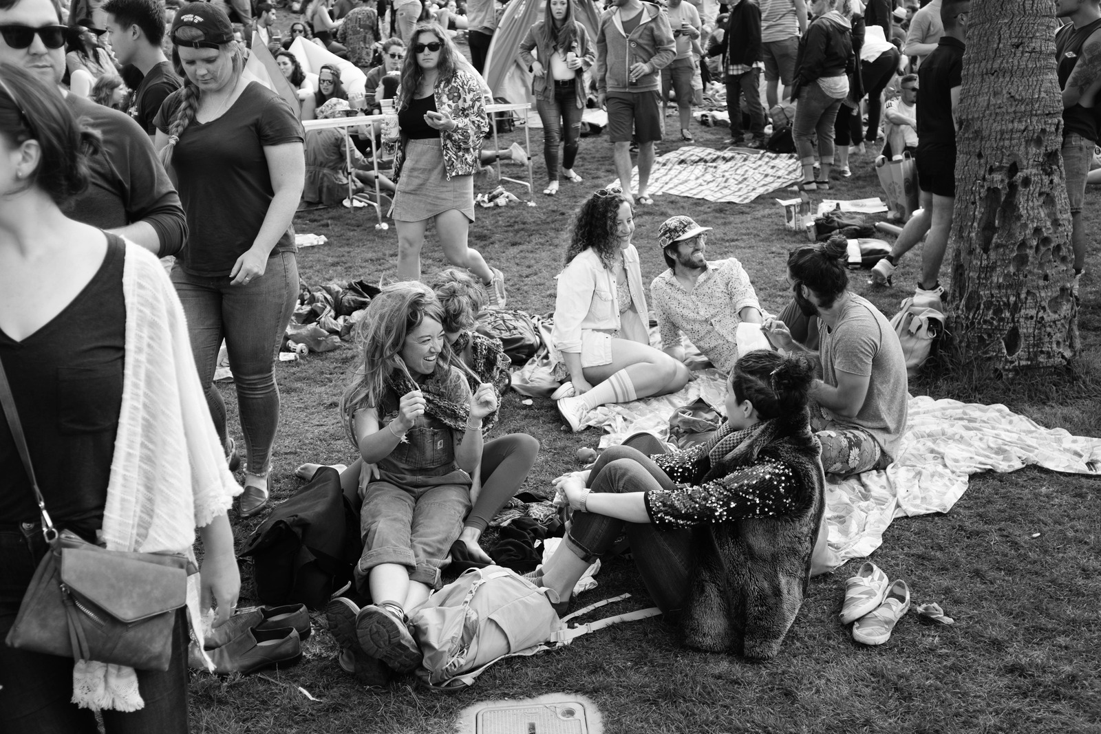 Gathered Joy