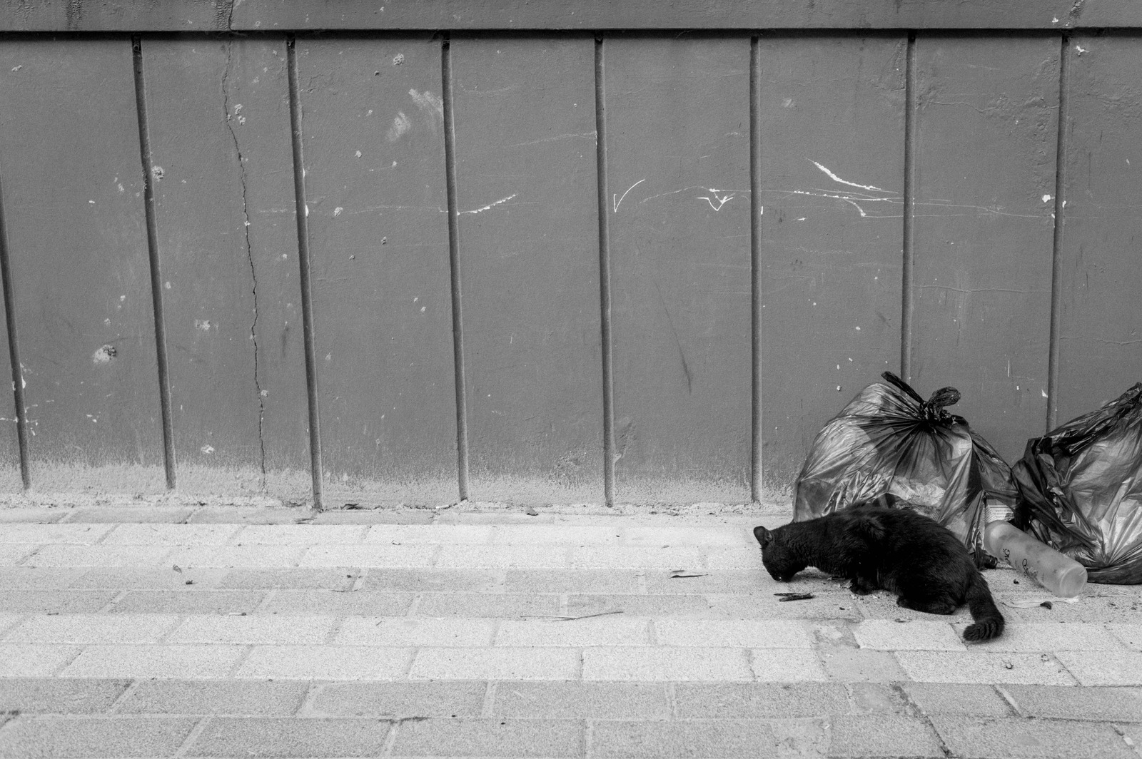 Urban Solitude
