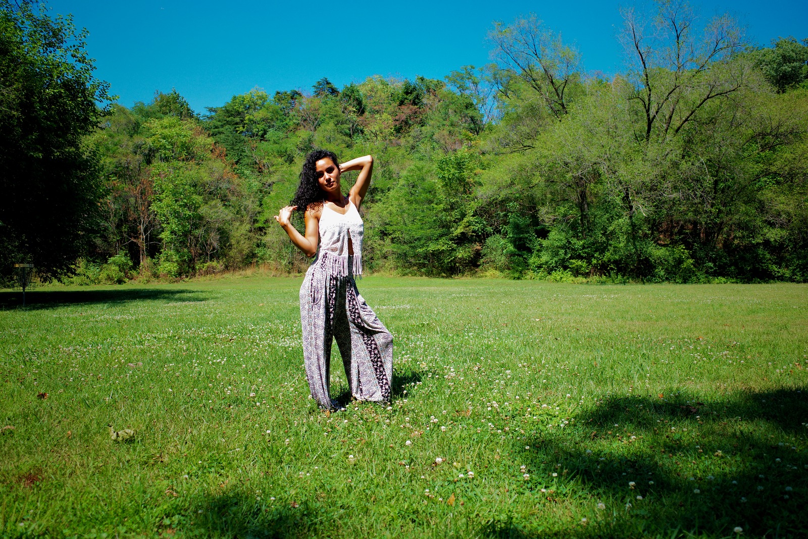 Sunlit Wanderlust
