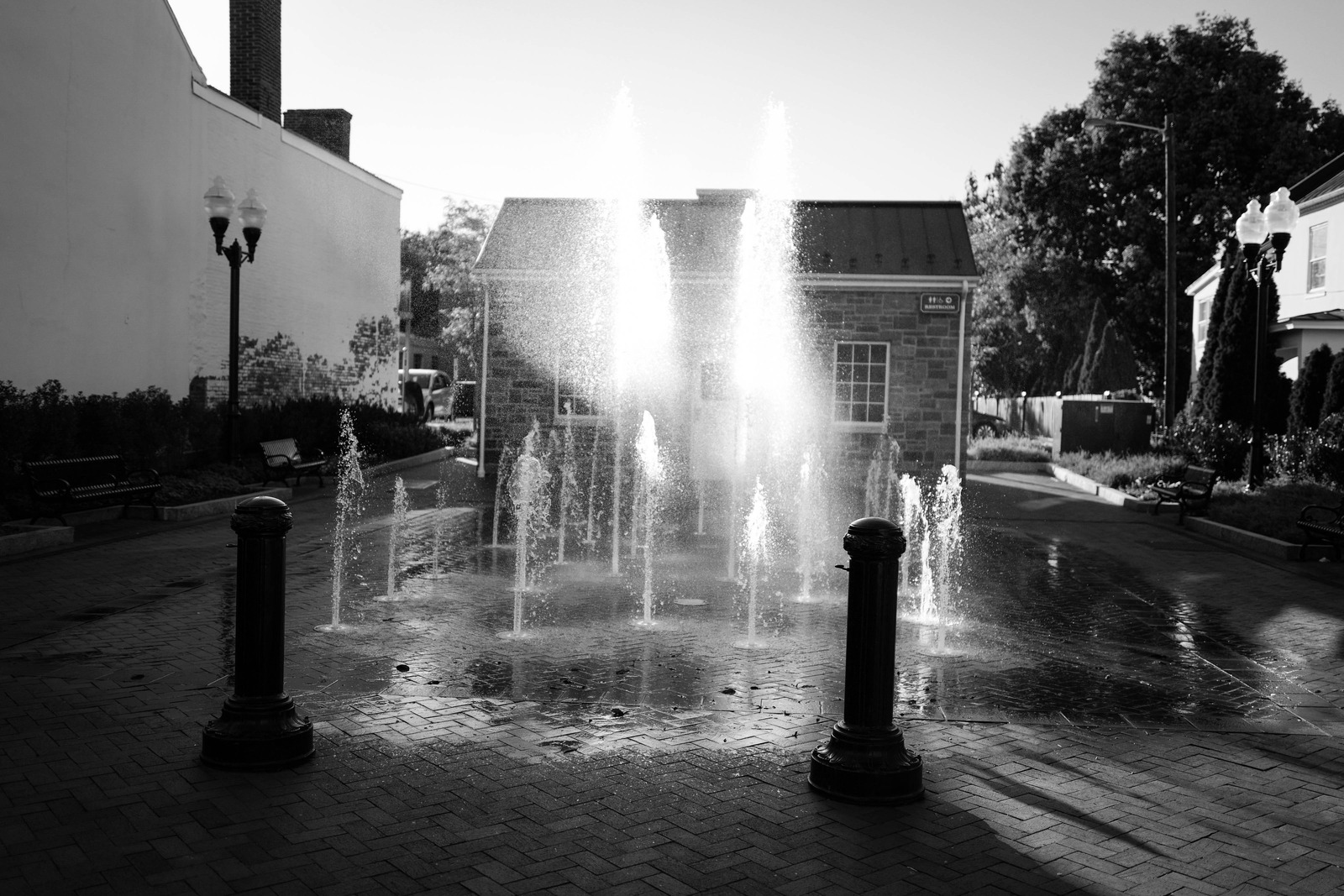 Urban Oasis