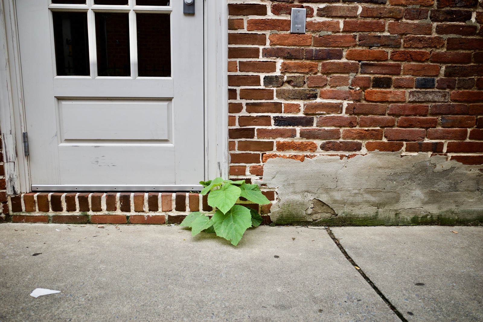 Nature's Resilience
