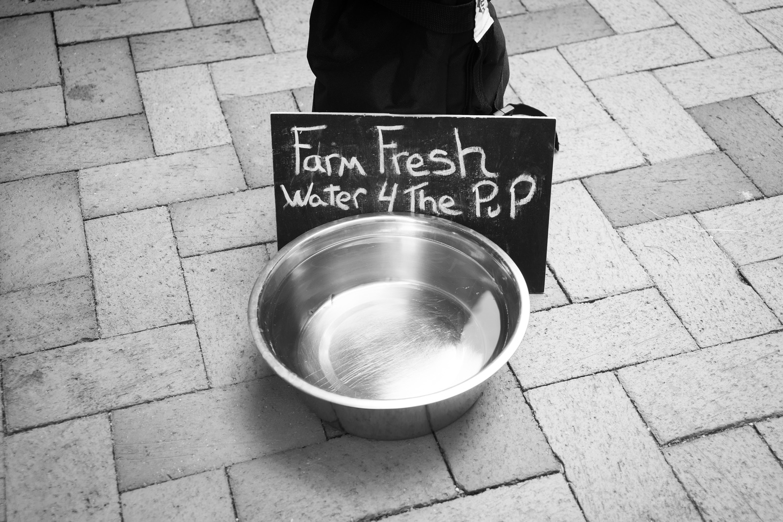Farm Fresh for Pups