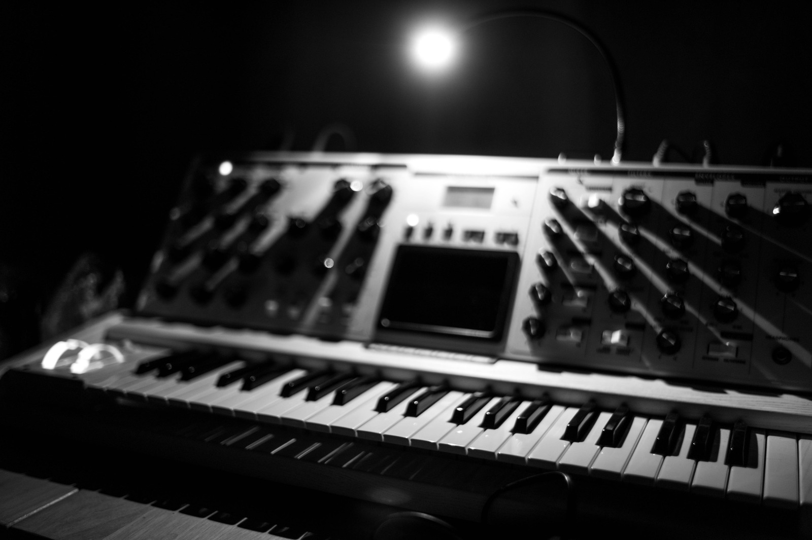 Echoes of Sound