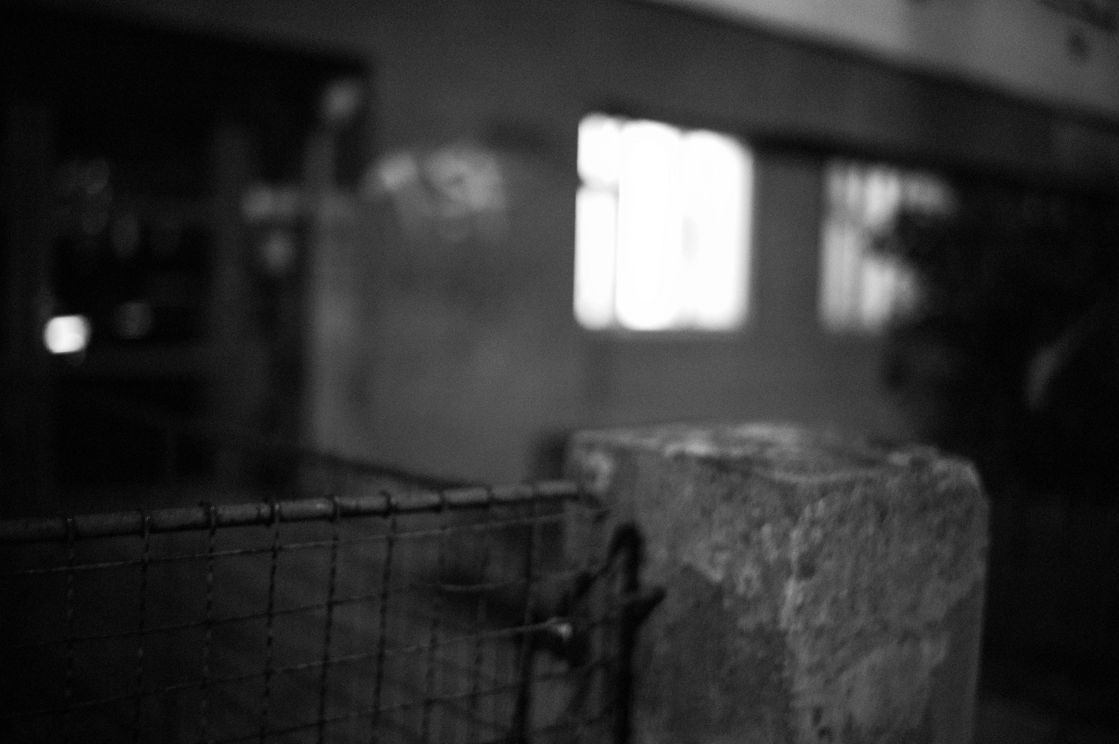 Shadows of Solitude