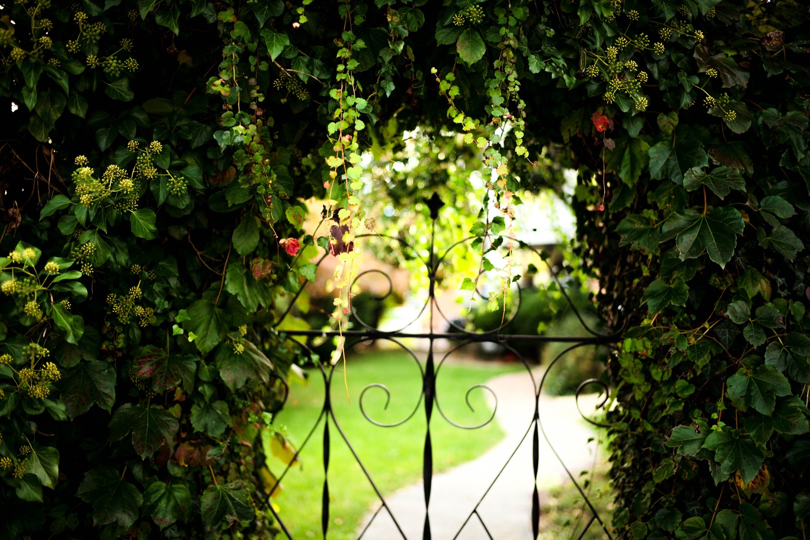 Gateway to Serenity