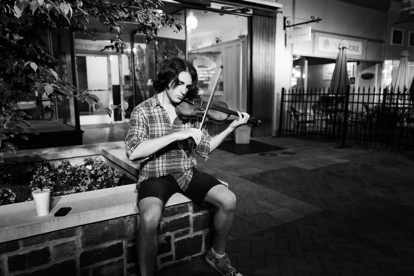 Night Serenade