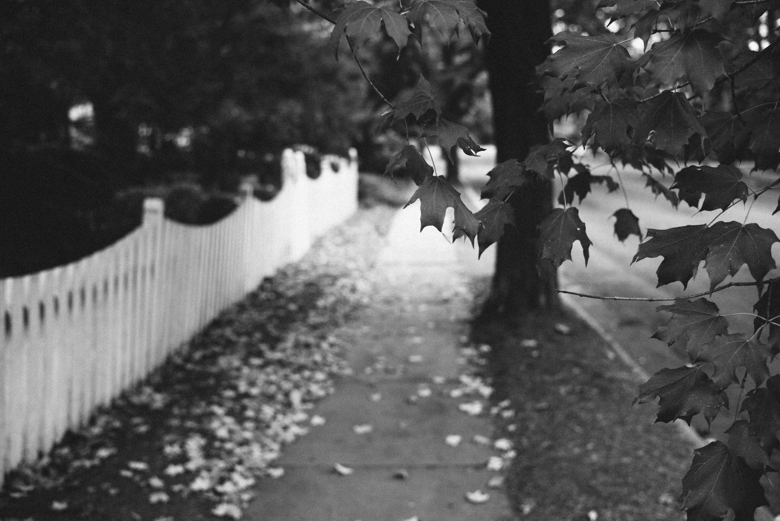 Whispers of Autumn