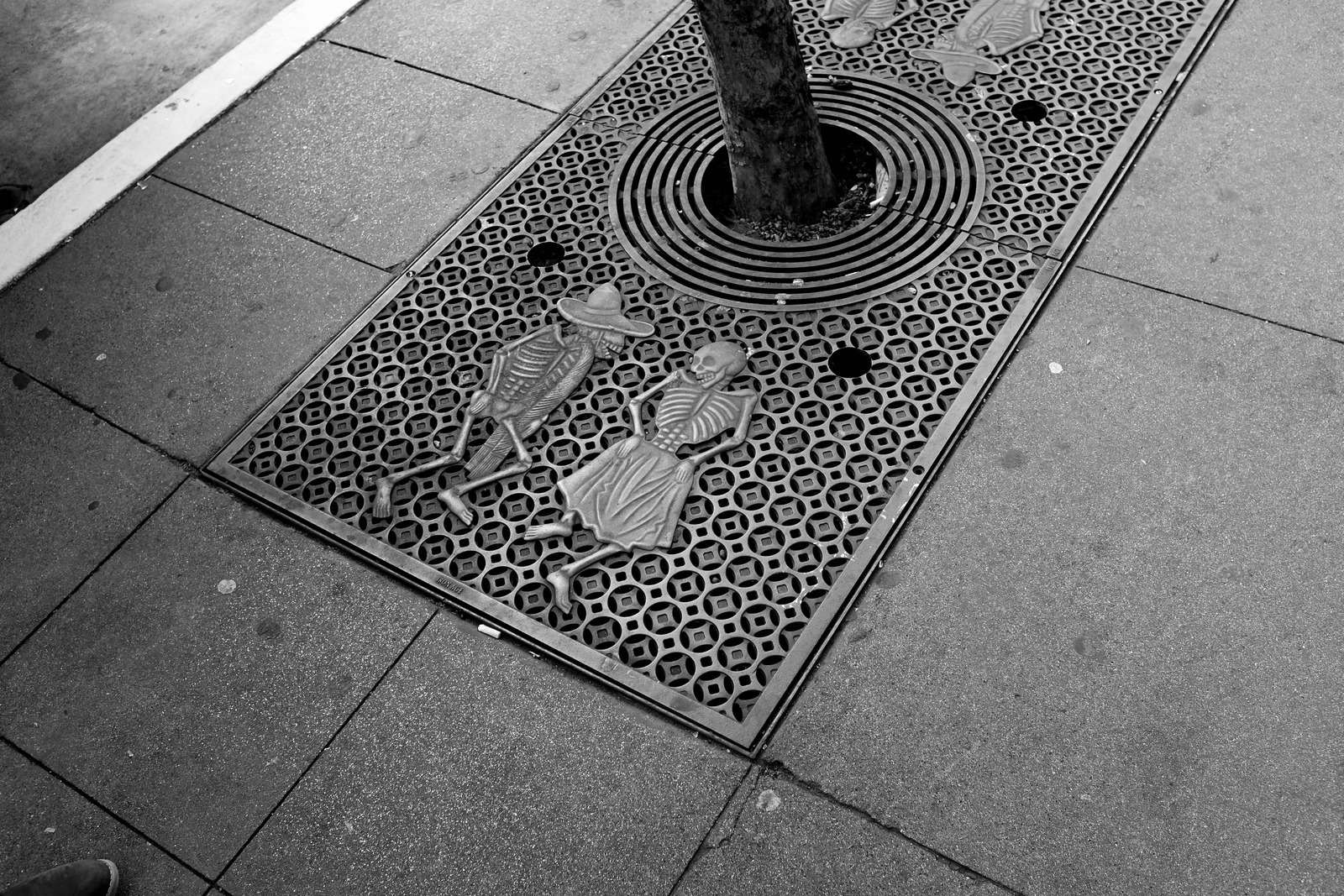 Life Underfoot