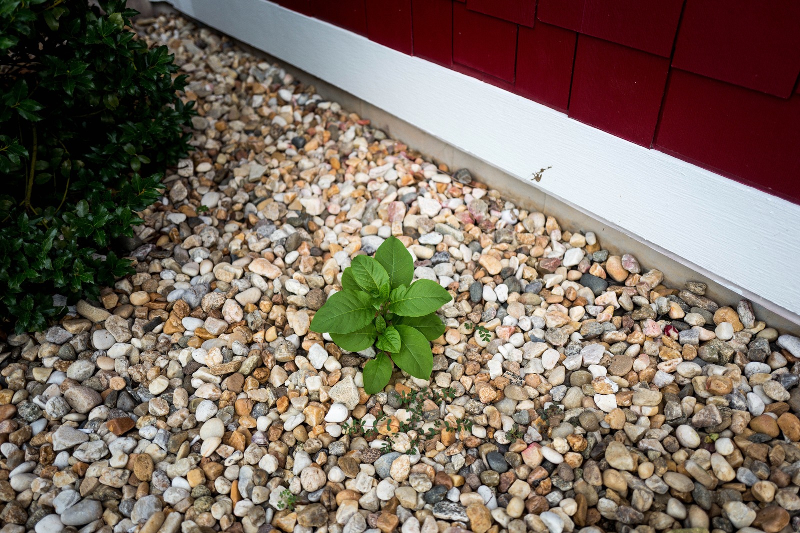 Resilience in Stone