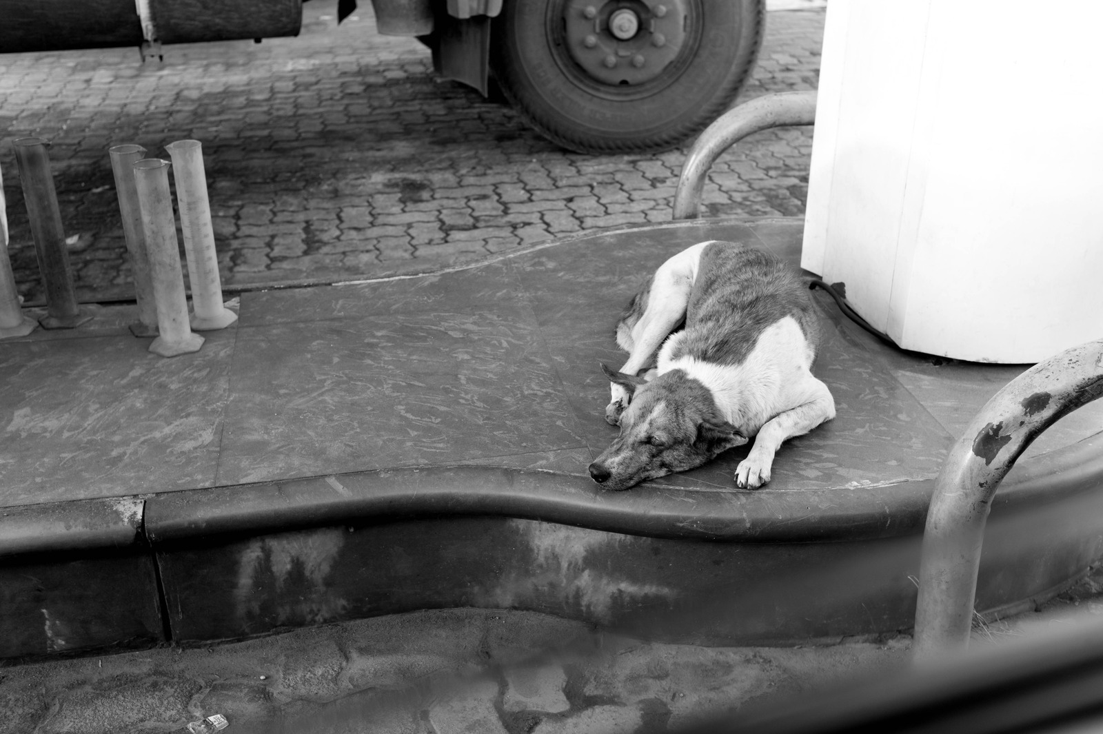 A Moment of Rest
